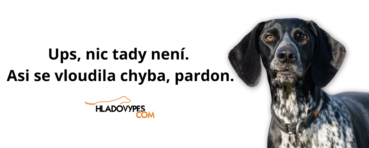 Ups, nic tady není. Asi se vloudila chyba, pardon.